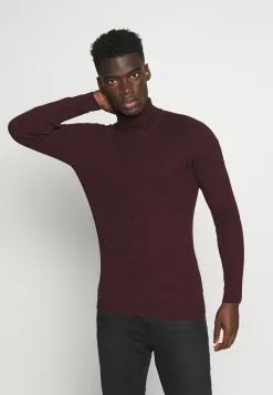 Pier One Muscle Fit Turtle - Jumper - Mottled Bordeaux